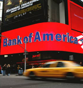 你出故事我出茶，廣別老寨古樹妖茶